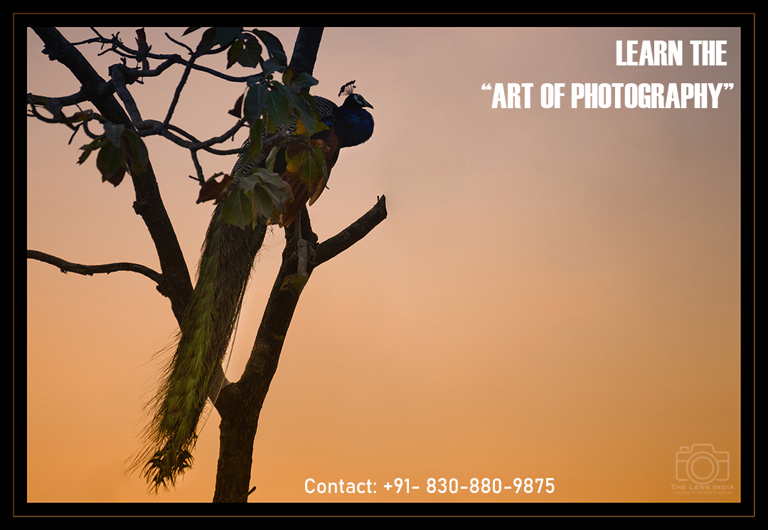 Best Photography Courses And Workshops In Pune The Lens India 2023   9KJ 0250 1 