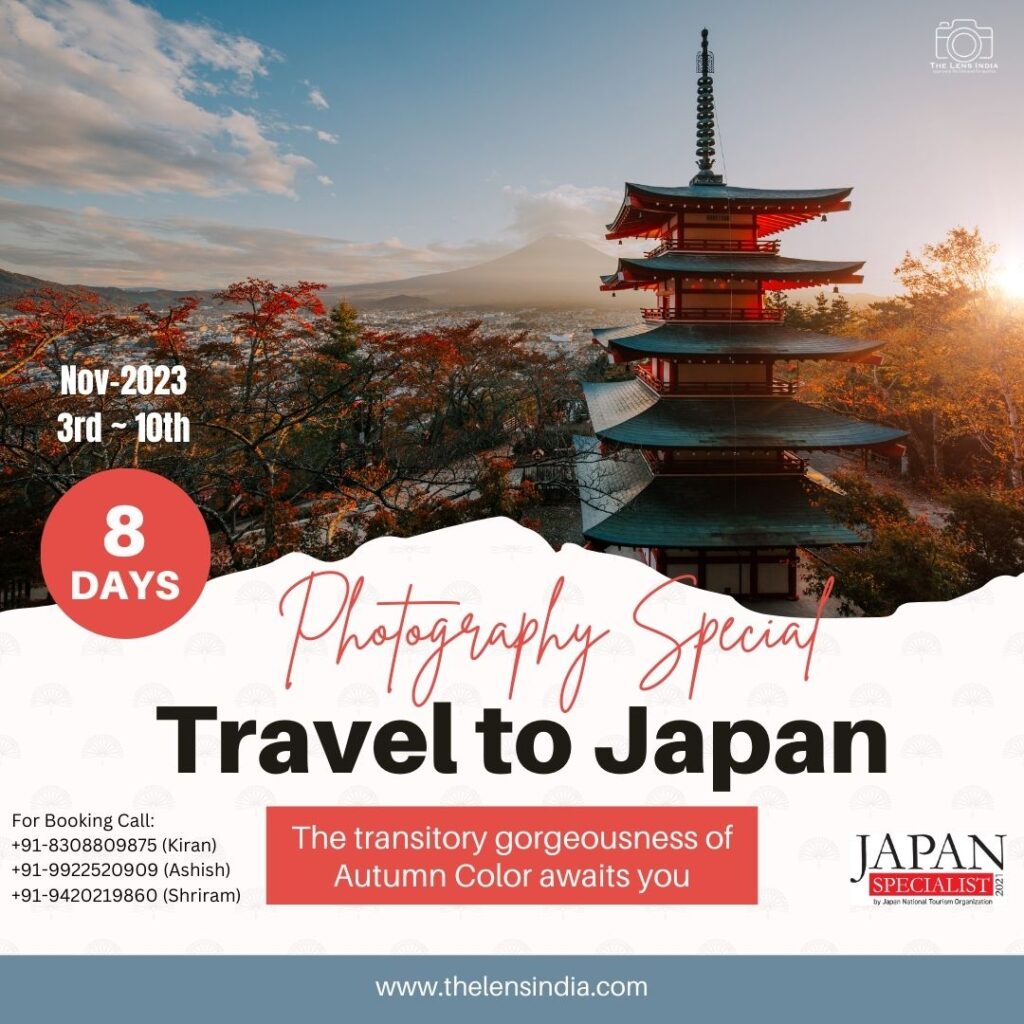 Japan Autumn Colors Special– Photography Tour