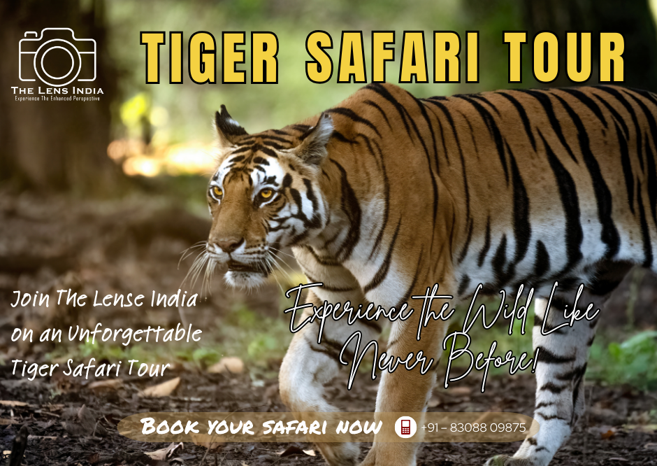 tiger safari tour india
