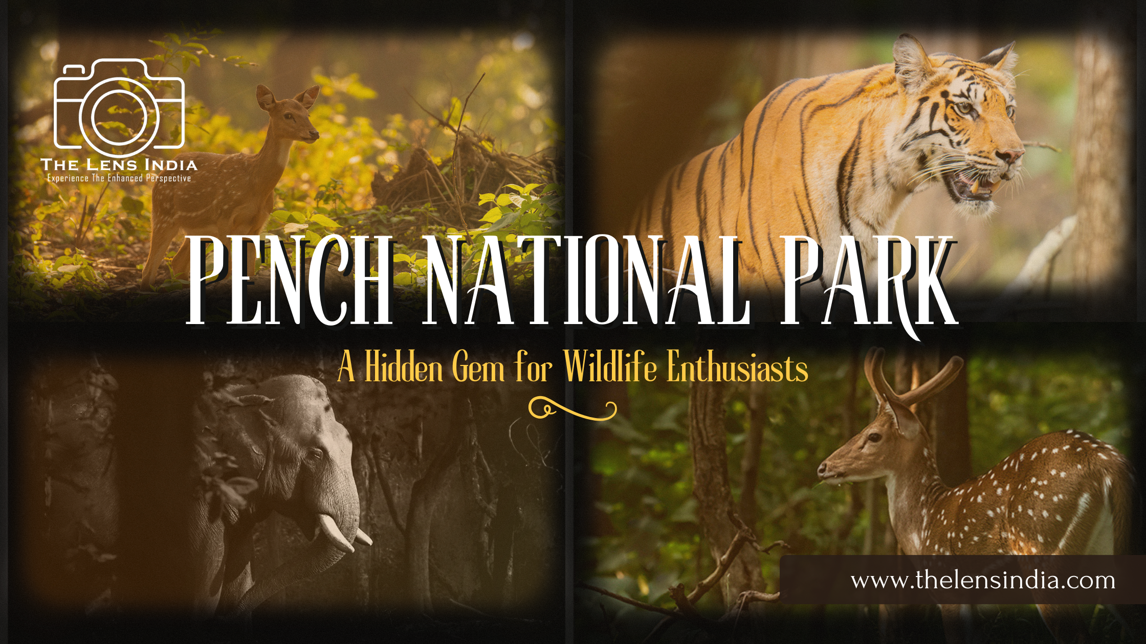 Scenic view of Pench National Park India