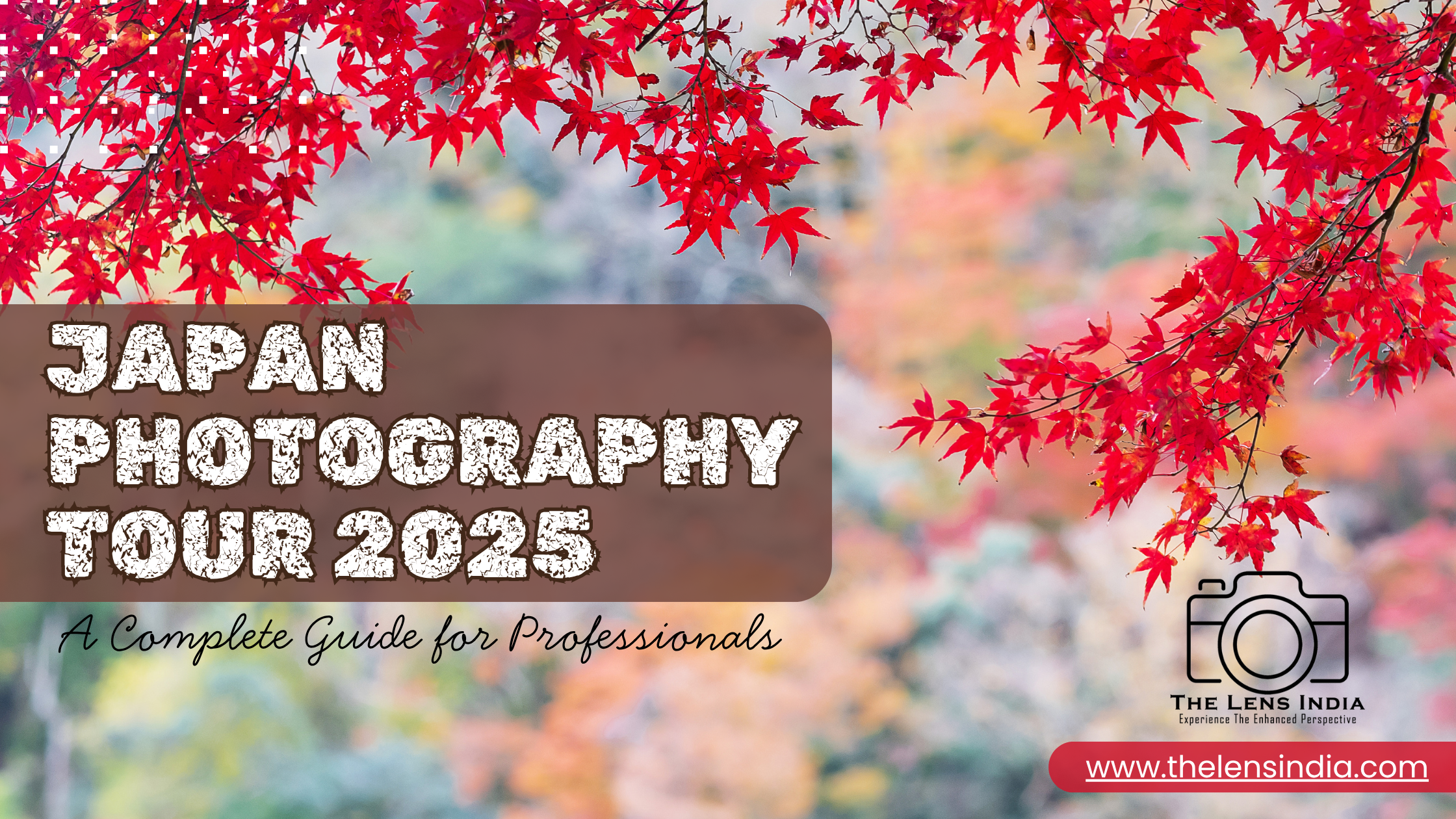 Japan photography tour for professionals 2025,Photography tour Japan 2025,Japan photo tour for professionals