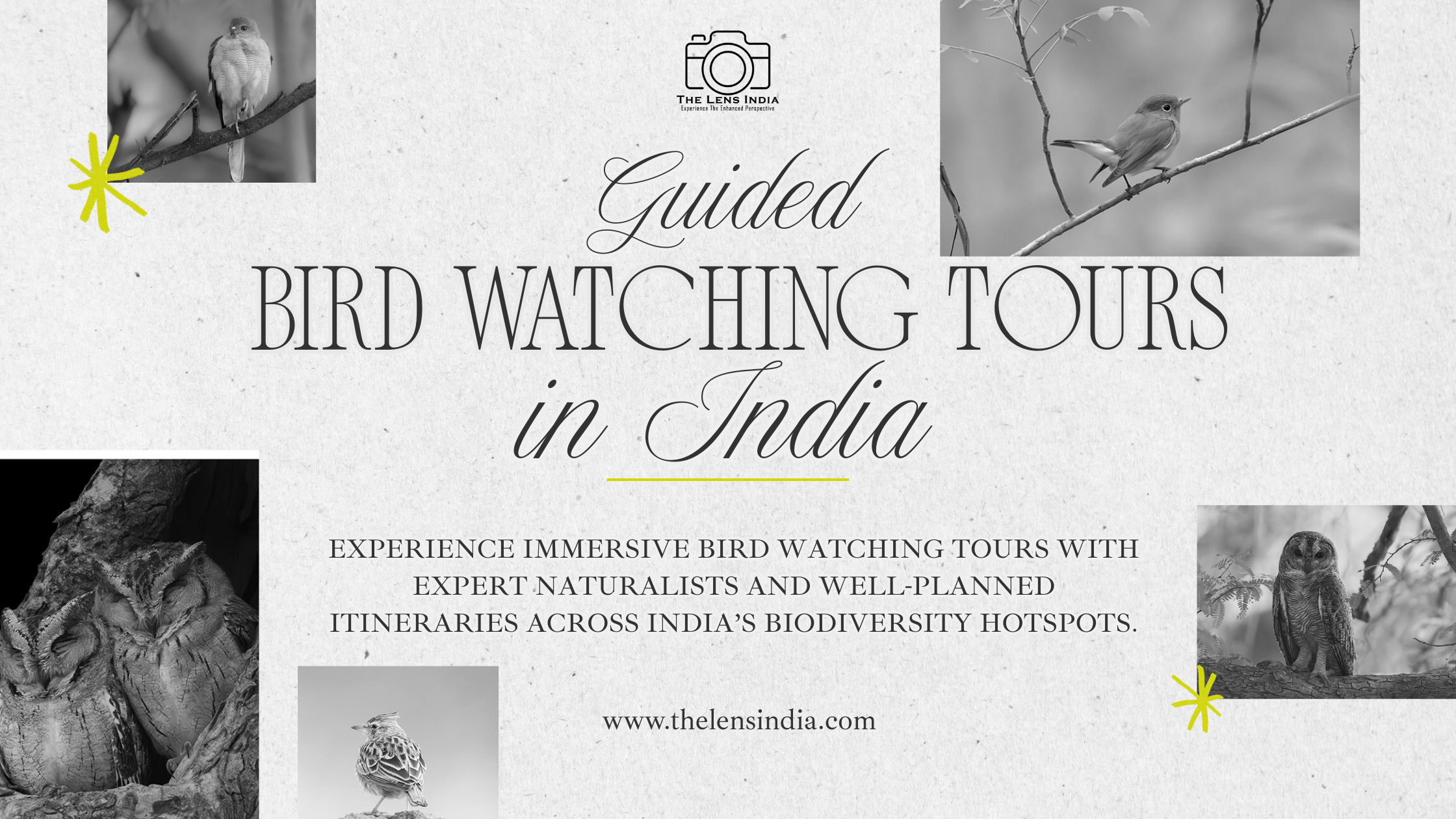 Guided Bird Watching Tours in India