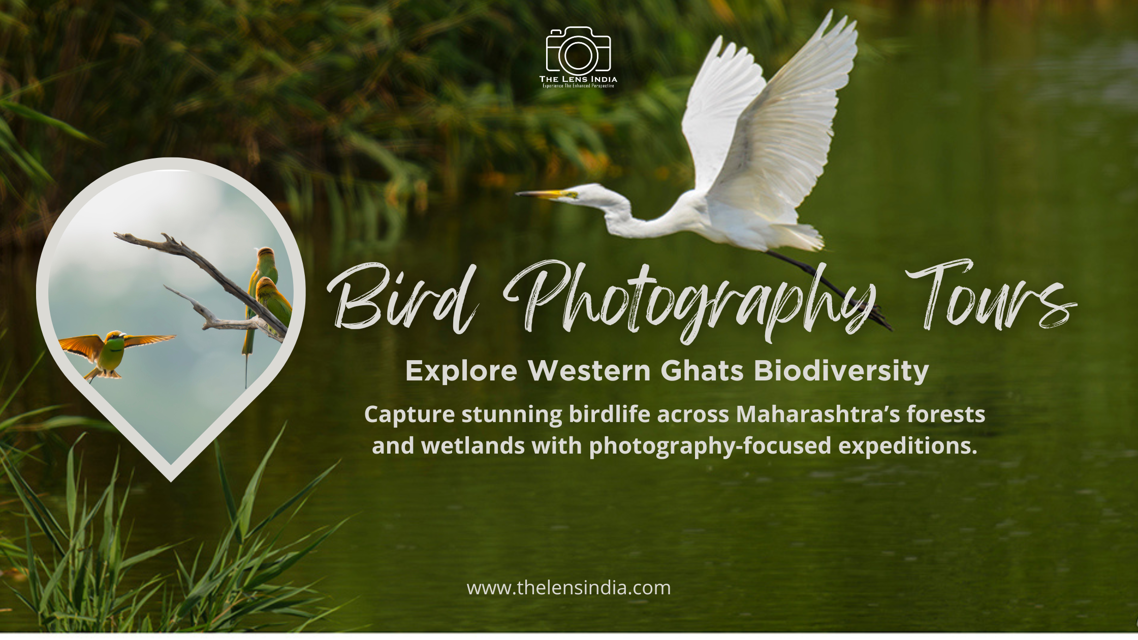 Bird Photography Tours in Maharashtra