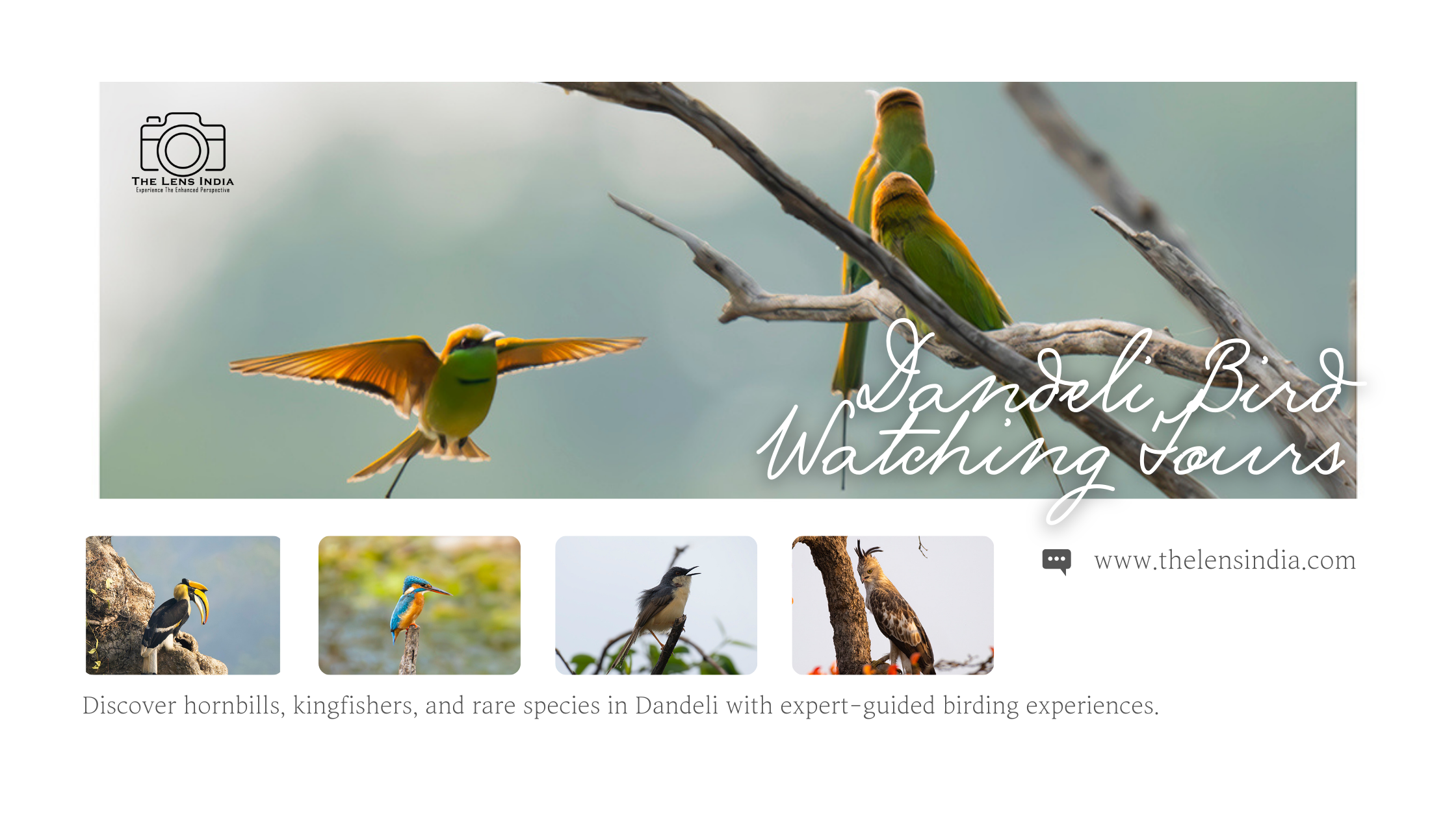 Dandeli Bird Watching Tours