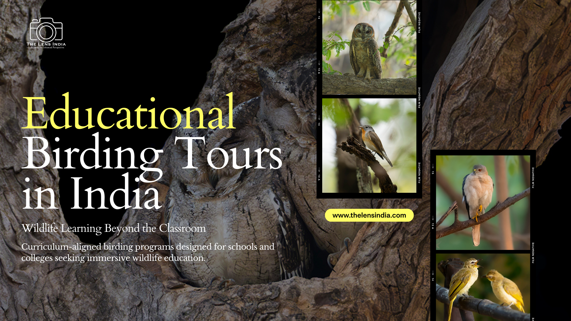 Educational Birding Tours in India