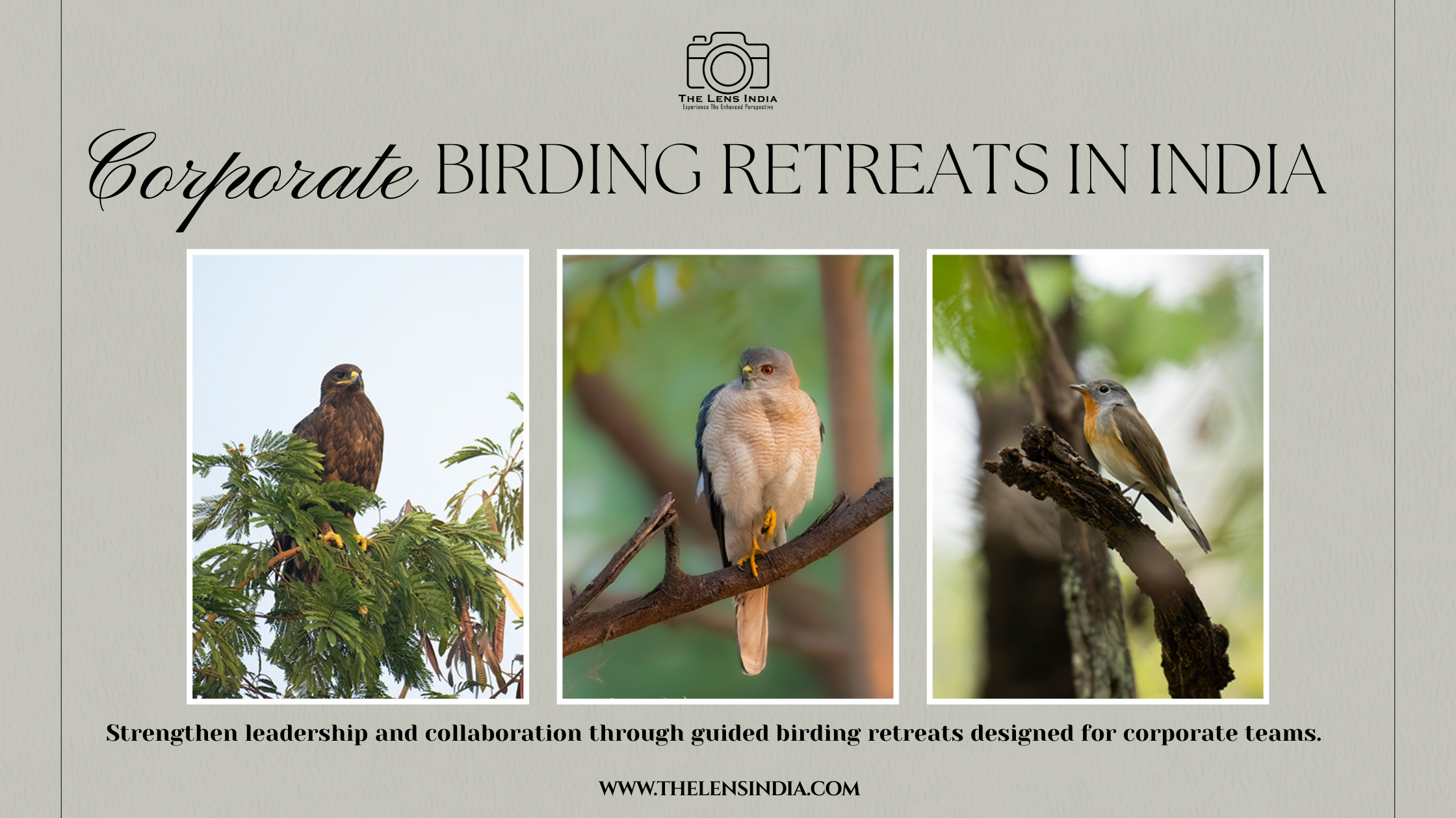 Corporate Birding Retreats in India