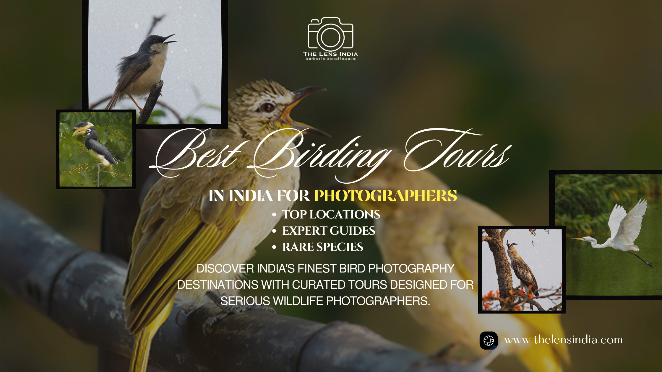 Best Birding Tours in India for Photographers