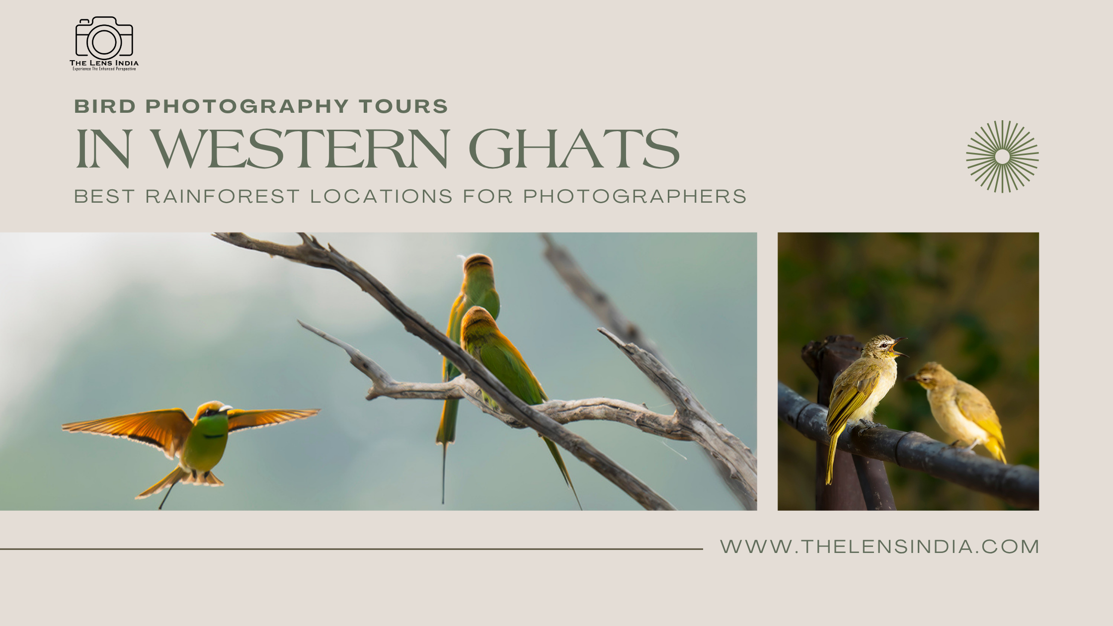 Bird Photography Tours in Western Ghats India