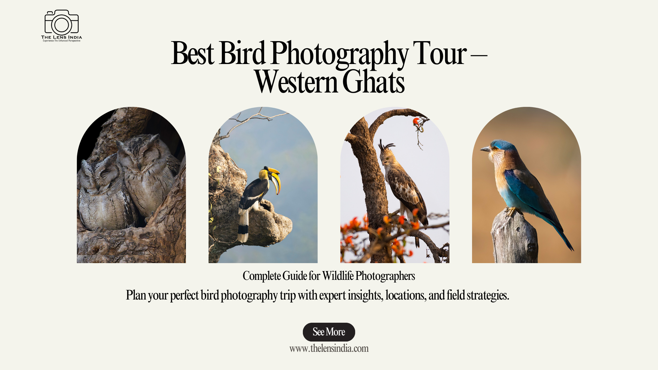 Best Bird Photography Tour Western Ghats India