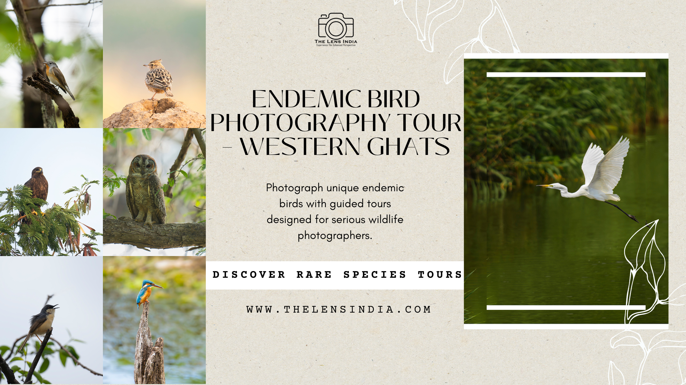 Western Ghats Endemic Bird Photography Tour