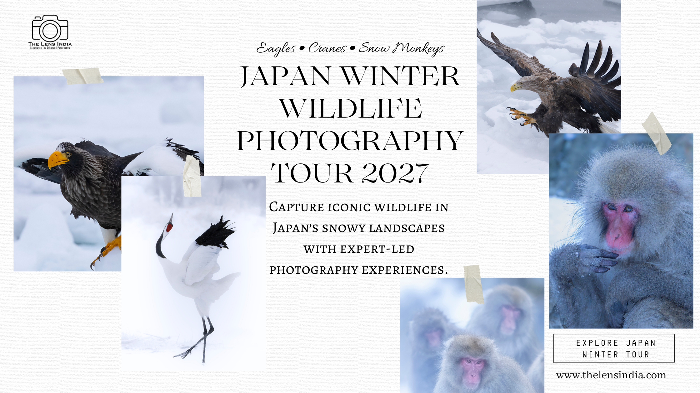 Japan Winter Wildlife Photography Tour 2027