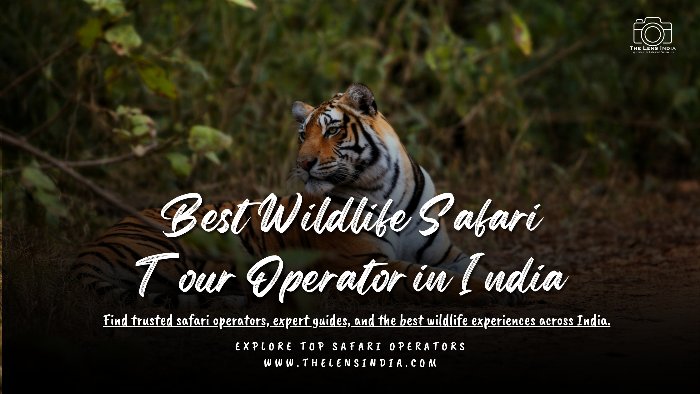 Best Wildlife Safari Tour Operator India