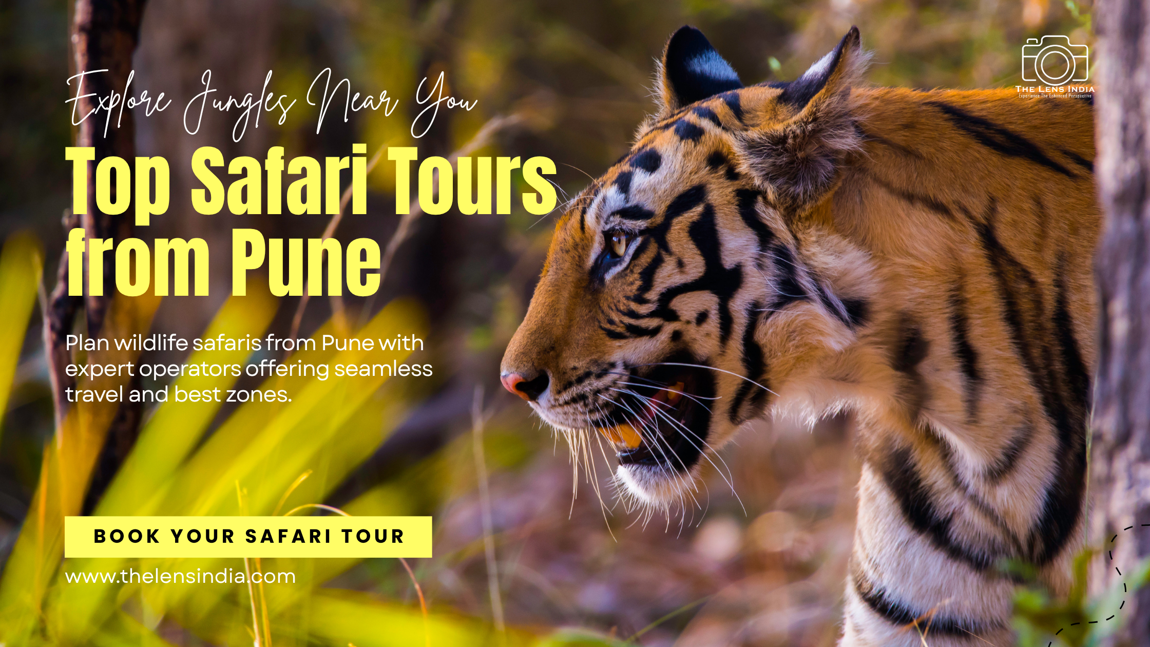 Top Wildlife Safari Tour Operator in Pune Maharashtra