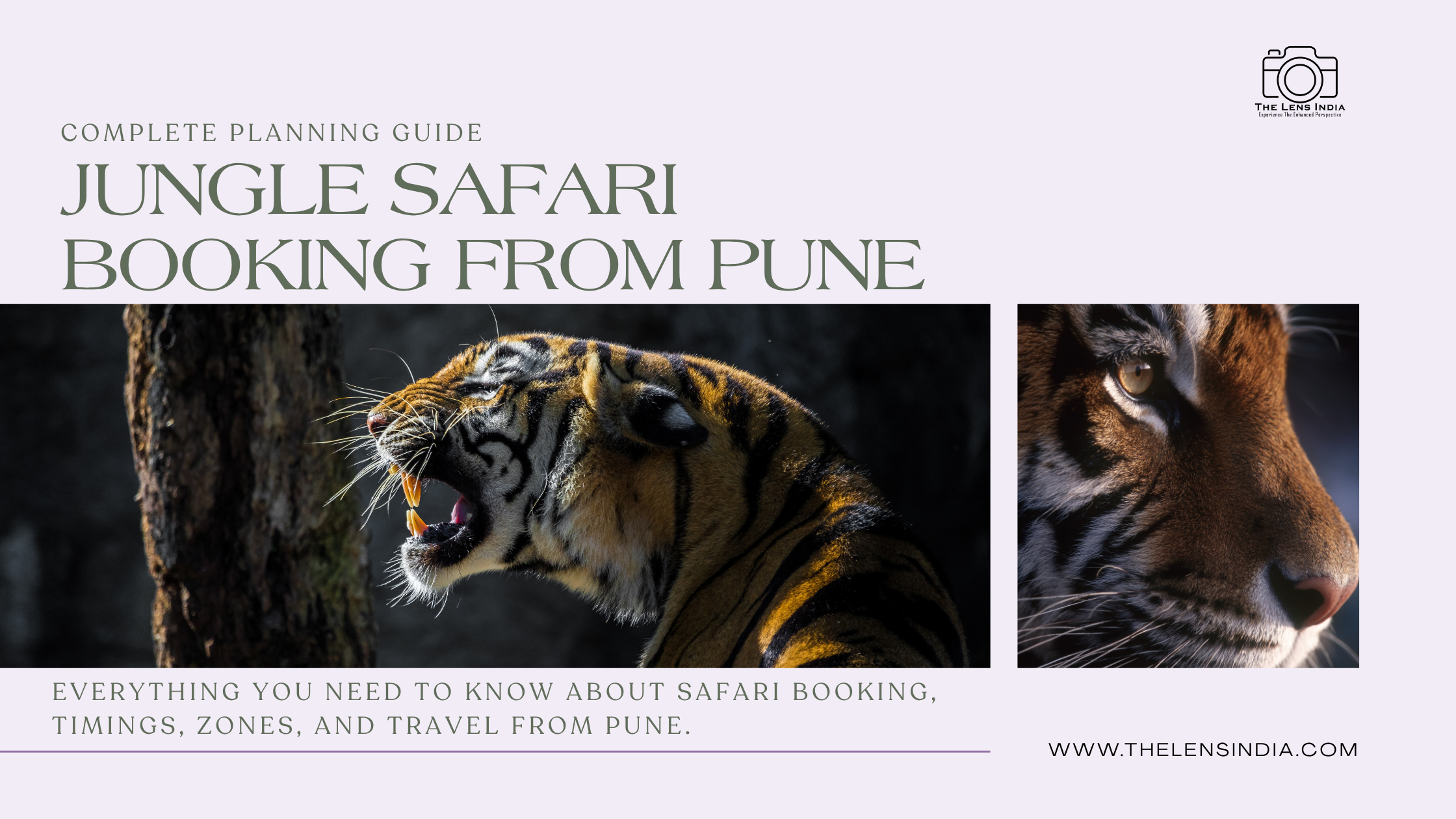 Jungle Safari Booking Operator Pune India