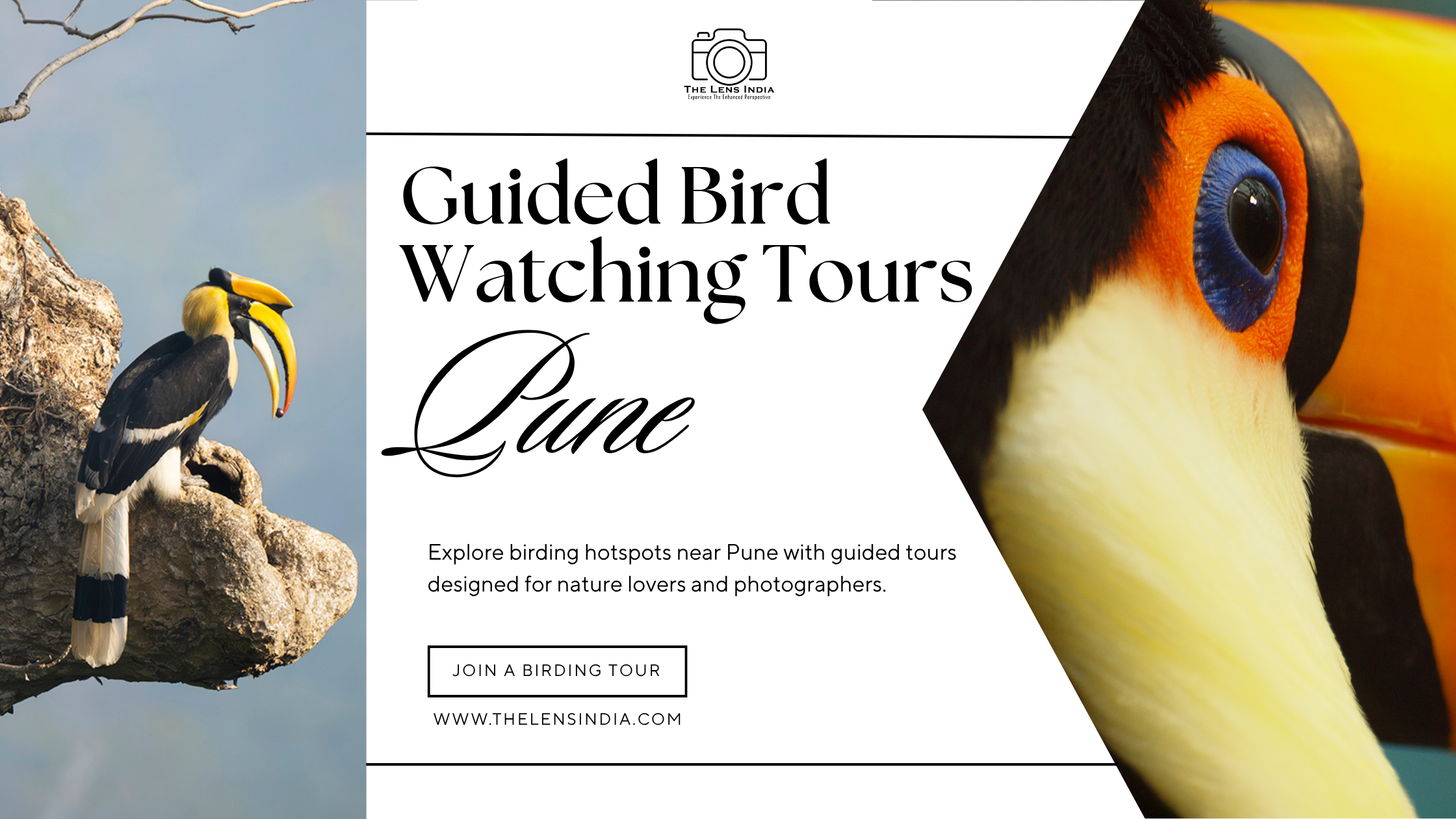 Guided Bird Watching Tours in Pune Maharashtra