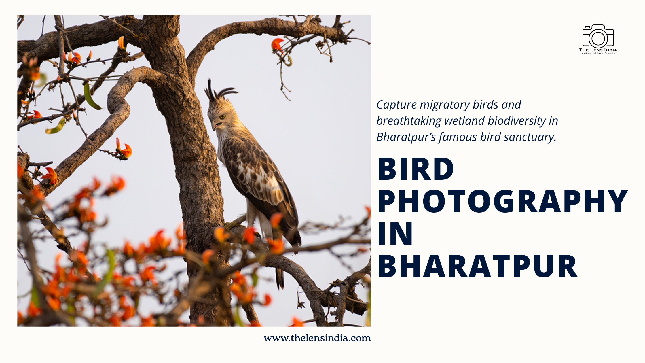 Bird photography tours India