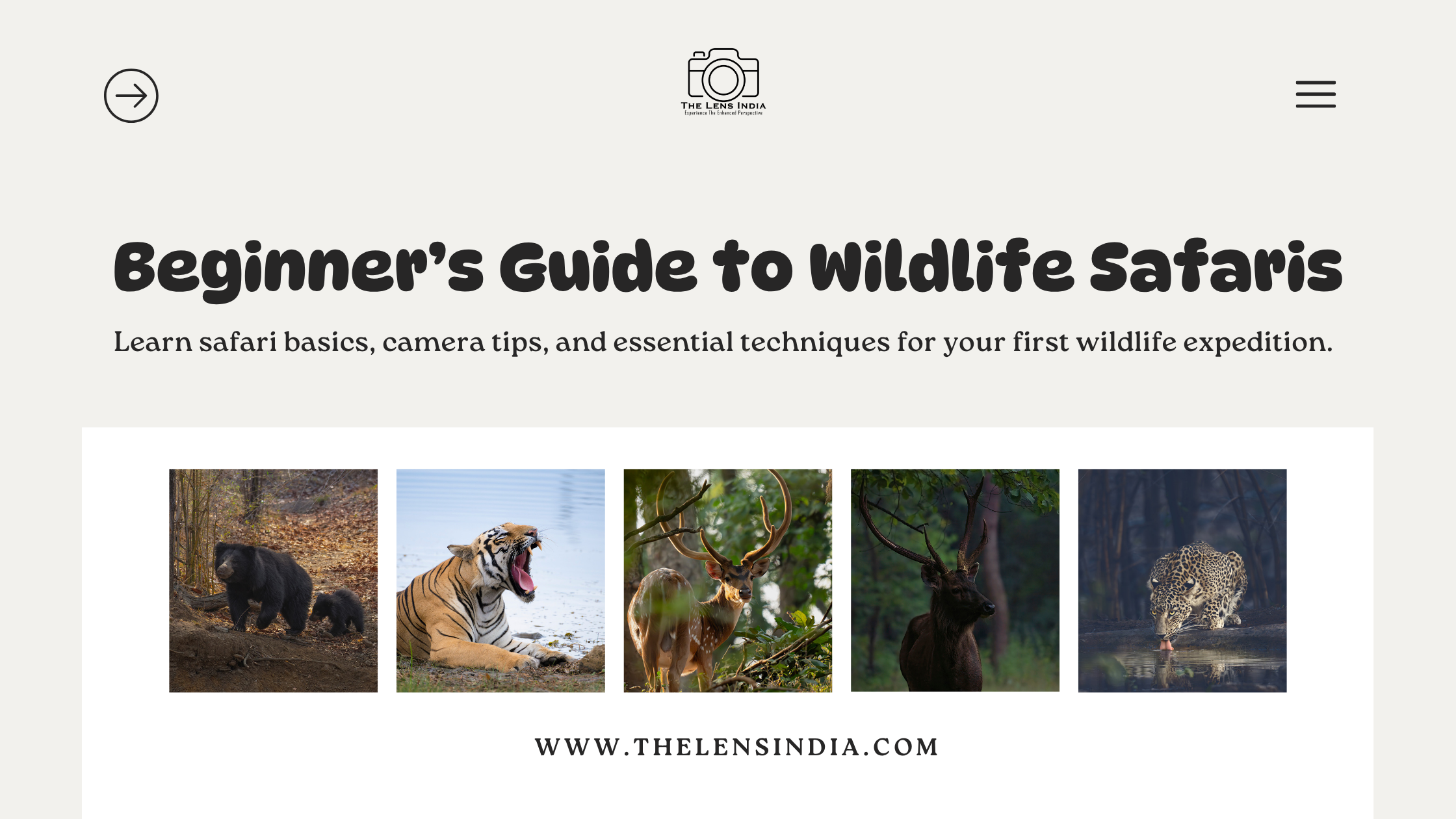 Wildlife photography tips India