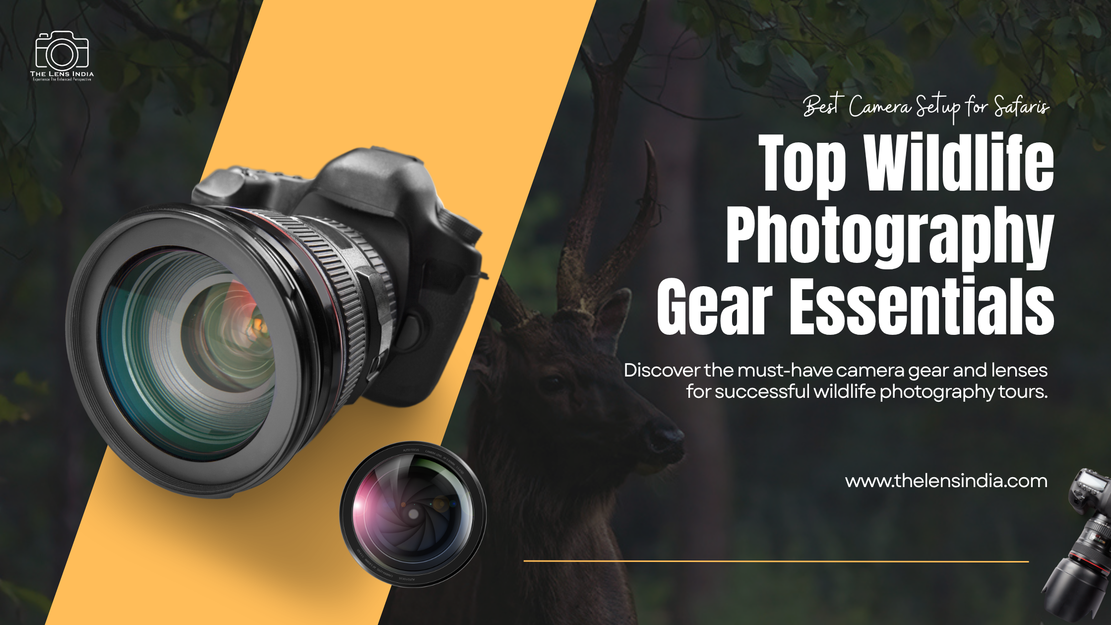 Wildlife photography camera gear