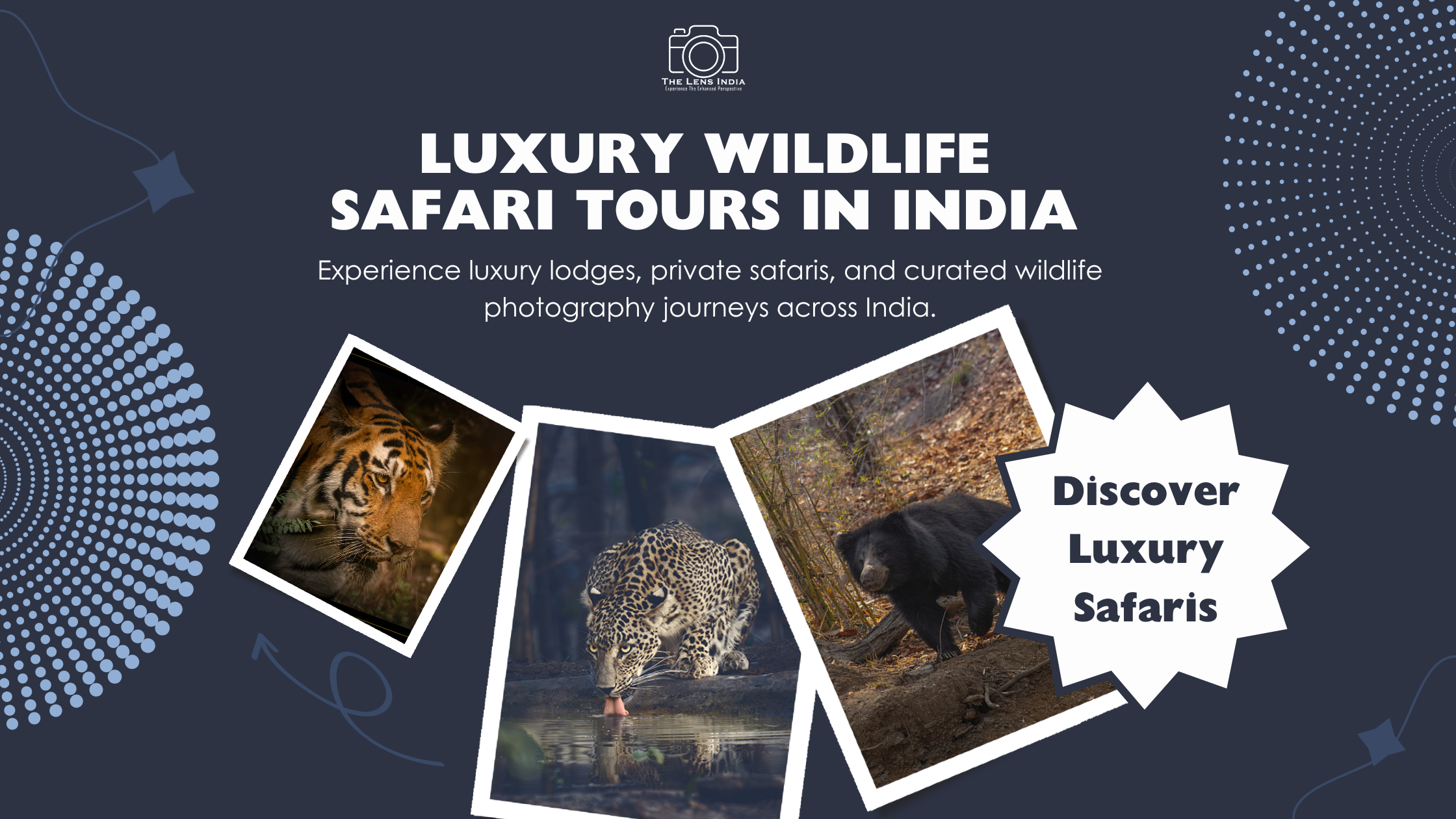 Luxury wildlife safari India