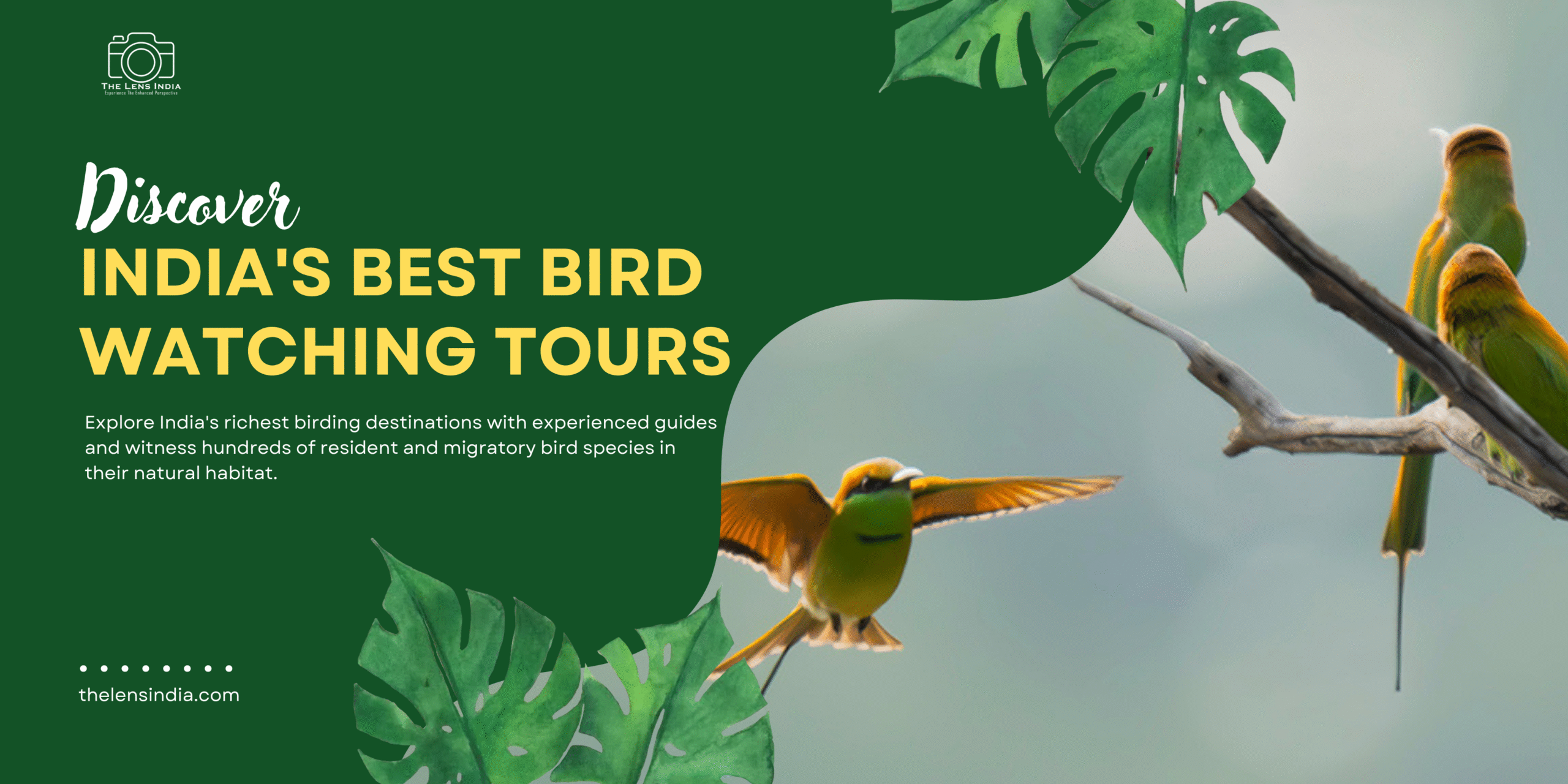 Bird Watching Tour Packages India