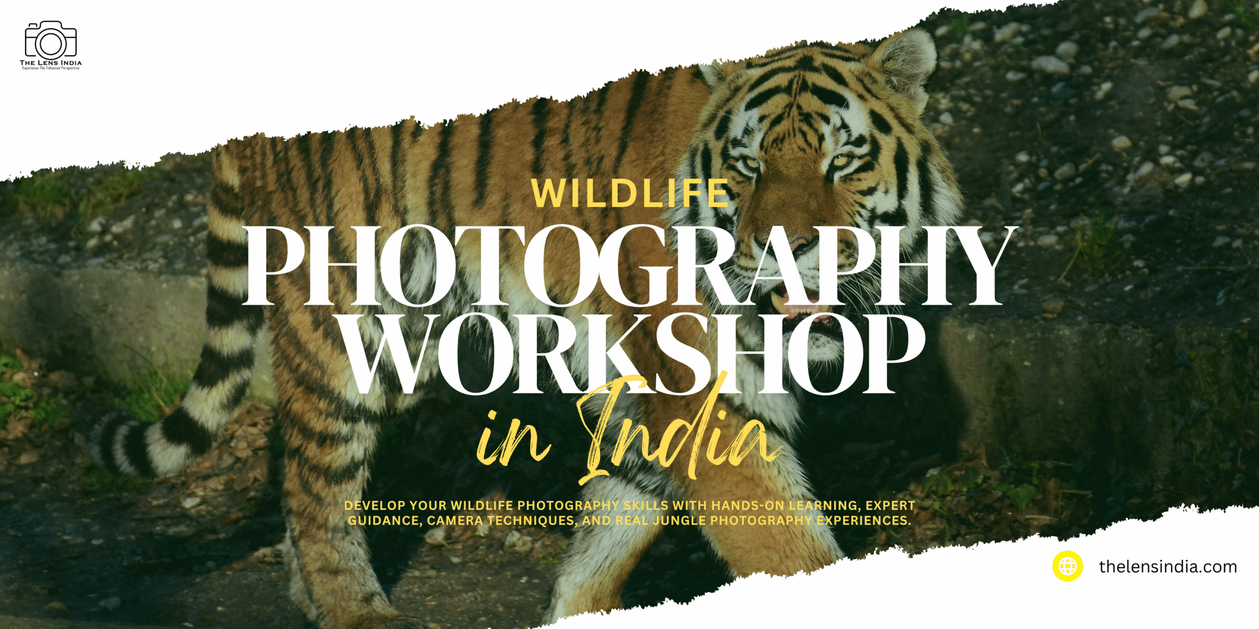 Wildlife Photography Workshop India